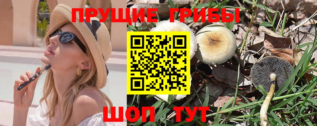 Кувандык  Псилоцибиновые грибы мухоморы  Вход с VPN 